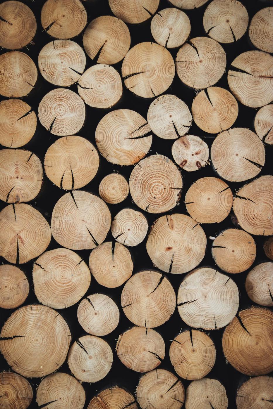 Troncos de madera apilados vistos de frente